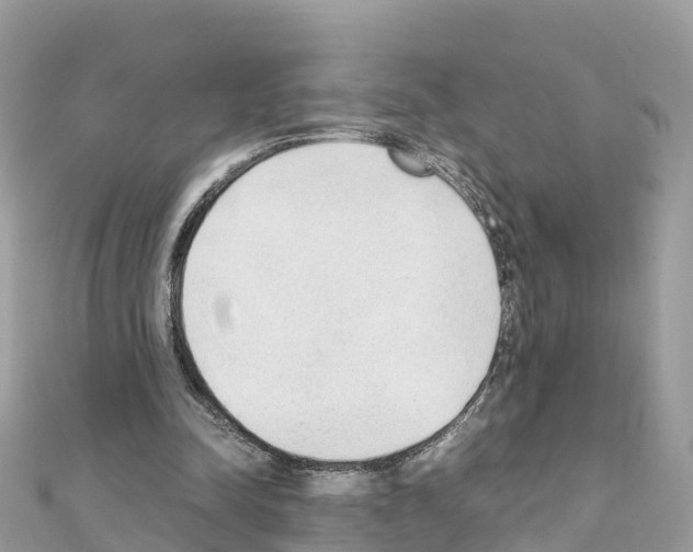 X0000111250342200908131212