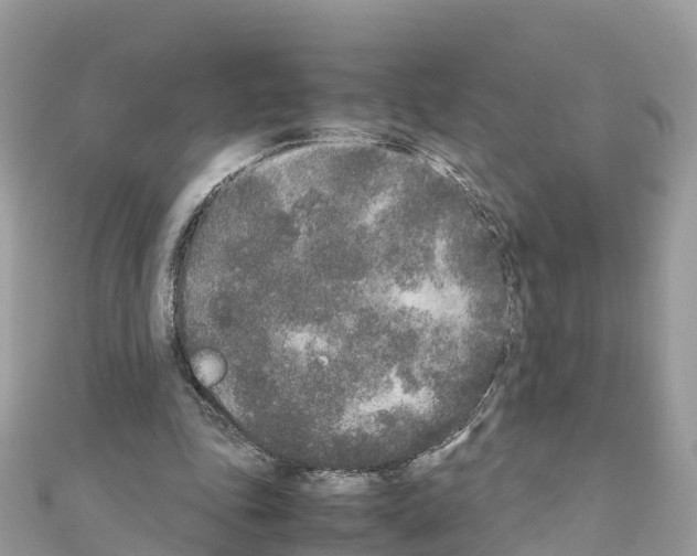 X0000111250343200908131212