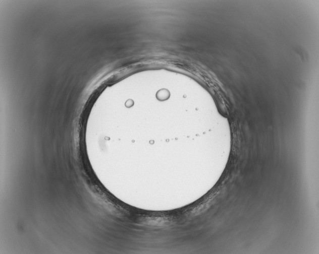 X0000111250344200908131212