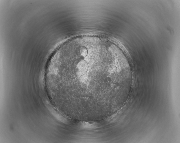 X0000111250346200908131212