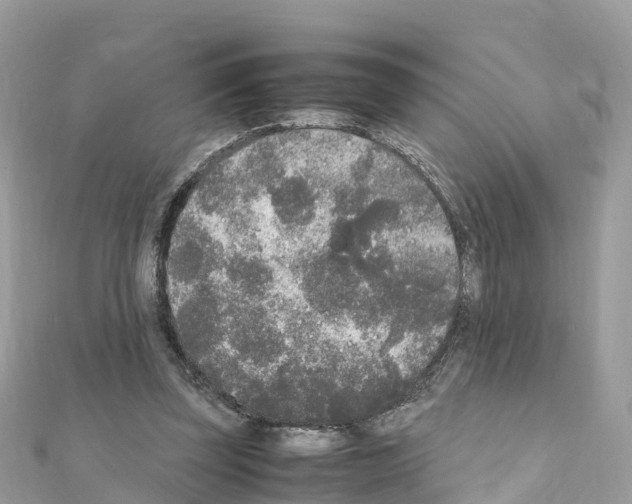 X0000111250347200908131212