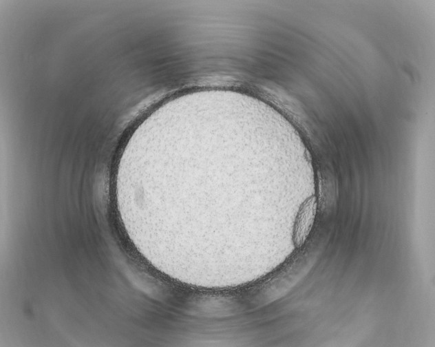 X0000111250348200908131212