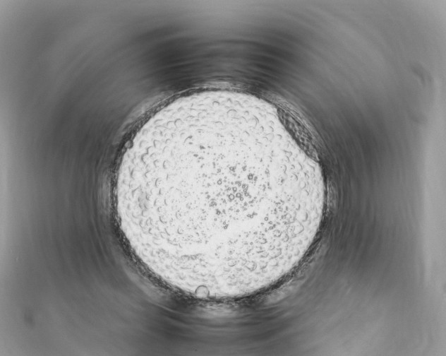 X0000111250349200908131212