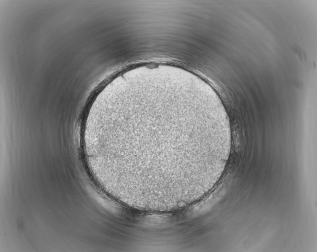 X0000111250350200908131212