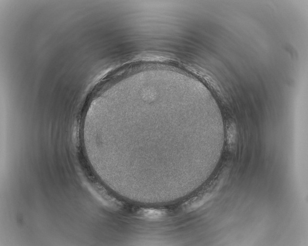 X0000111250352200908131212