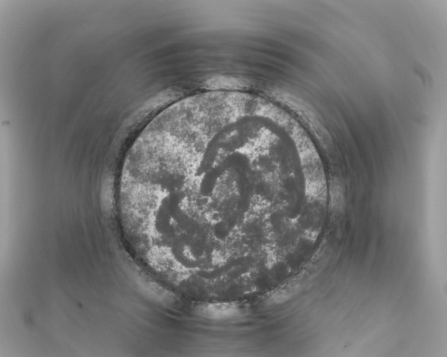 X0000111250353200908131212