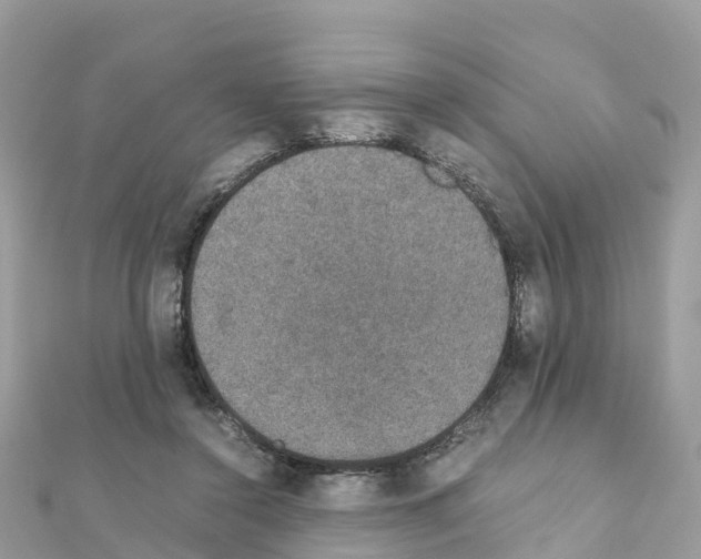 X0000111250356200908131212