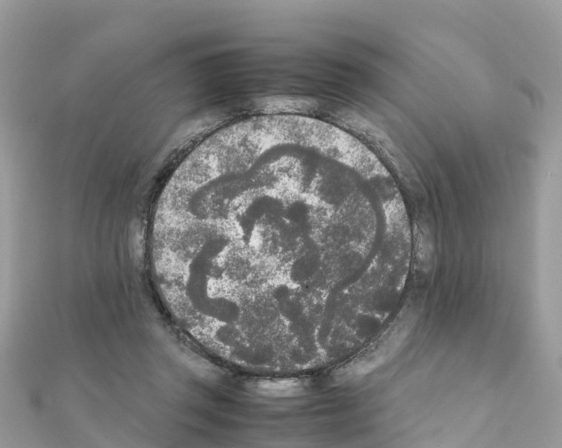 X0000111250357200908131212