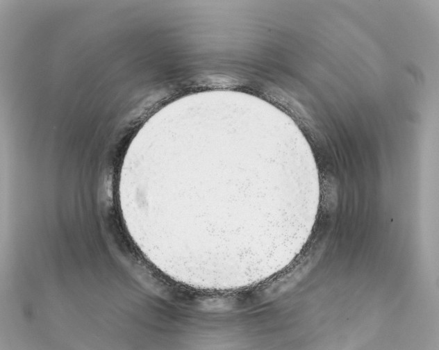 X0000111250358200908131212