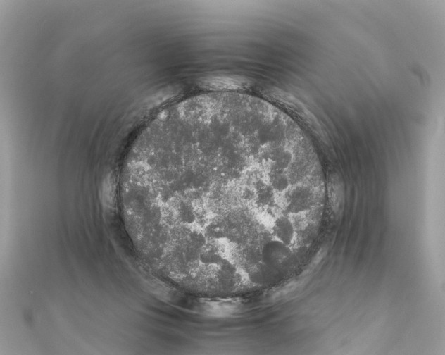 X0000111250359200908131212