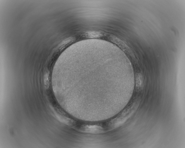 X0000111250360200908131212