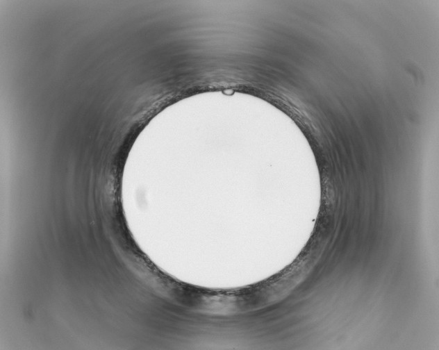 X0000111250362200908131212