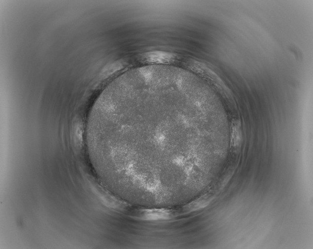 X0000111250363200908131212