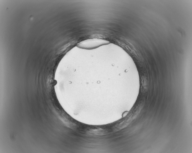 X0000111250364200908131212