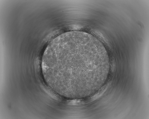 X0000111250366200908131212