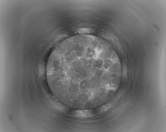 X0000111250367200908131212