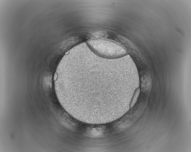 X0000111250368200908131212