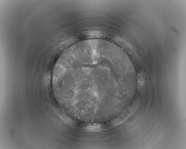 X0000111250369200908131212