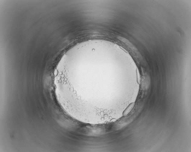 X0000111250370200908131212