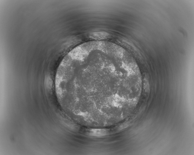 X0000111250371200908131212