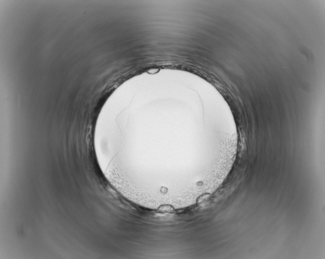 X0000111250376200908131212