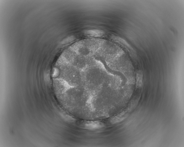 X0000111250377200908131212