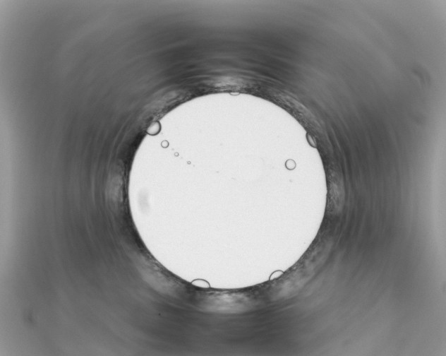 X0000111250379200908131212