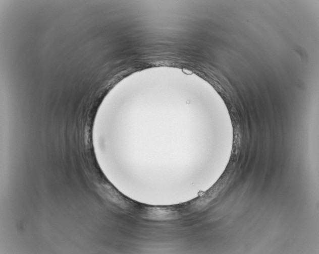 X0000111250380200908131212