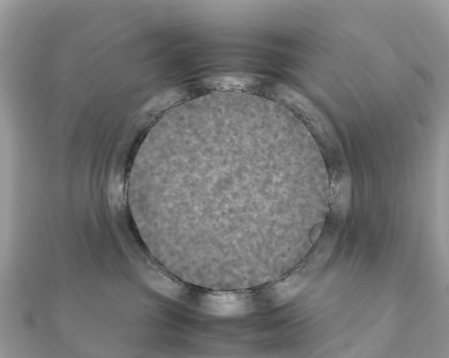 X0000111250381200908131212