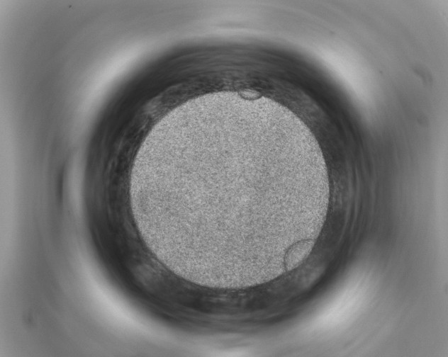 X0000111250383200908131212