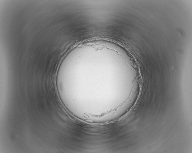 X0000111250384200908131212