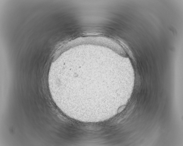 X0000111250385200908131212