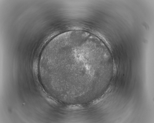 X0000111250386200908131212