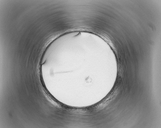 X0000111250389200908131212