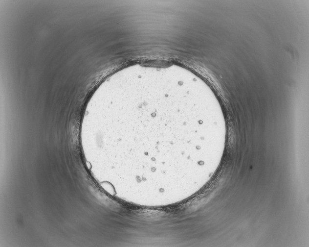 X0000111250393200908131212