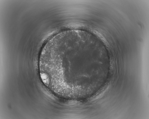 X0000111250399200908131211