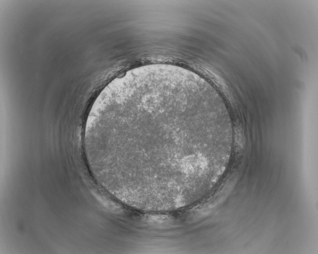 X0000111250401200908131211