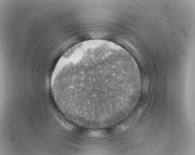 X0000111250405200908131211