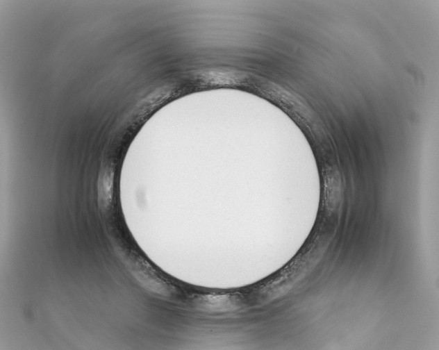 X0000111250406200908131211