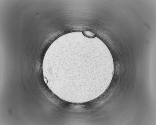 X0000111250407200908131211