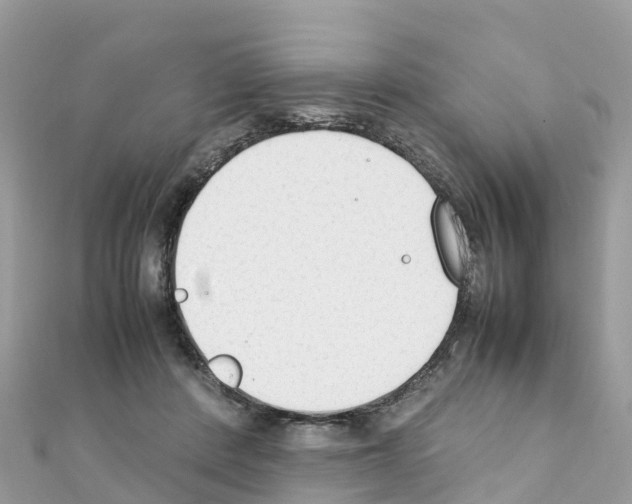 X0000111250408200908131211