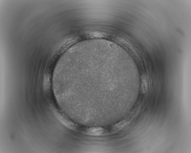 X0000111250410200908131211