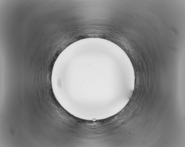 X0000111250411200908131211