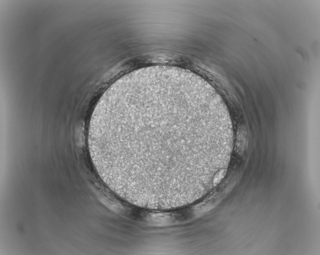 X0000111250413200908131211