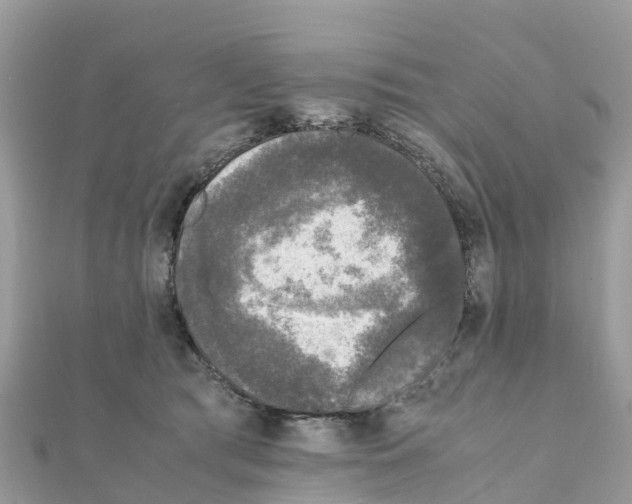 X0000111250417200908131211