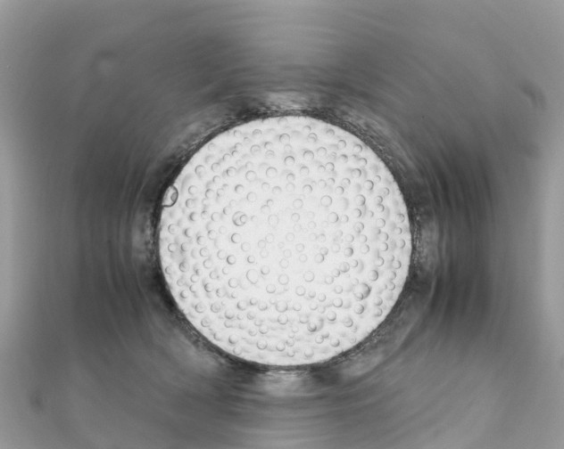 X0000111250418200908131211