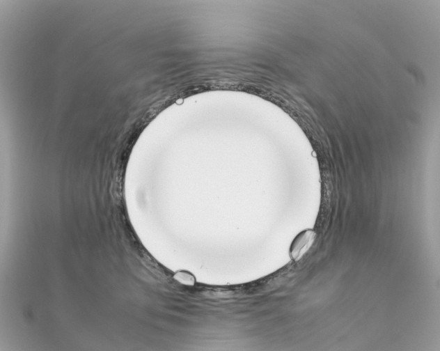 X0000111250419200908131211