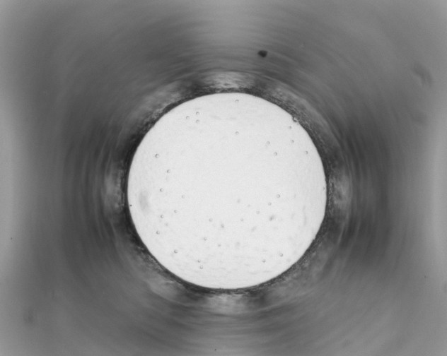 X0000111250422200908131211