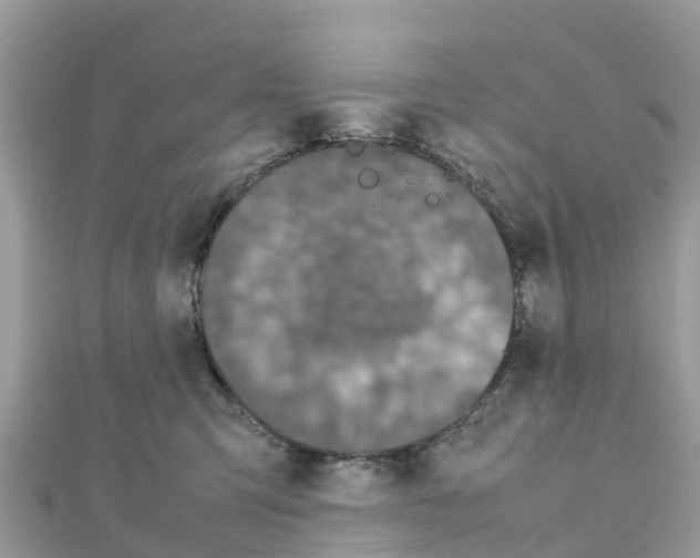 X0000111250423200908131211