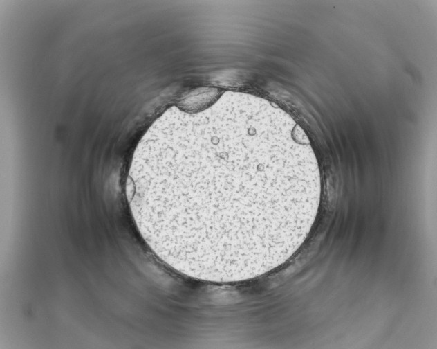 X0000111250424200908131211